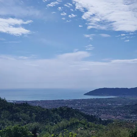 Dal Mae' * Bergiola Foscalina