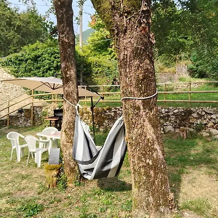 Dal Mae' * Bergiola Foscalina